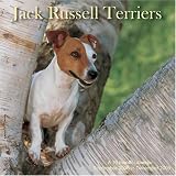 Jack Russell Terriers 2009 Wall Calendar (French Edition)