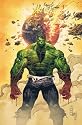 Incredible Hulk by Jason Aaron - Vol. 1