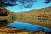 Reflections in a Pond during Fall Foliage Season in Vermont. - 24