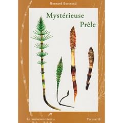 Mysterieuse prele