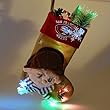 San Francisco 49ers Mascot Fiber Optic Stocking