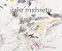 Julie Mehretu: The Drawings