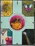 Supersensonics: The spiritual physics of all in vibrations from zero to infinity