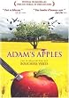 Adam's apples