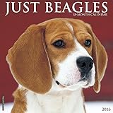 2016 Just Beagles Wall Calendar