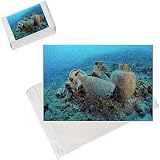 Photo Jigsaw Puzzle of Etruscan Amphora in a protected archaeological area on the sea bed in Antalya, from Ardea Wildlife Pets