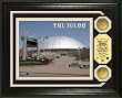 Melon Arena Photomint with 2 24KT Gold Coins