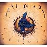 Image of album by Neal Casal