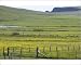 Photographic Prints of COS-2016 Flower meadows and Fences, with Sea Cliffs in background from Ardea Wildlife Pets