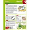 Lerntafel: Botanik im �berblick (Lerntafeln Biologie)