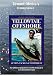 YELLOWTAIL OFFSHORE: ACTION TACKLE & TECHNIQUES