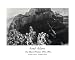 Ansel Adams B/W Photo Grand Canyon Picture Art Print
