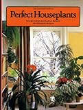 The essential guide to perfect houseplants