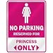NO PARKING 
