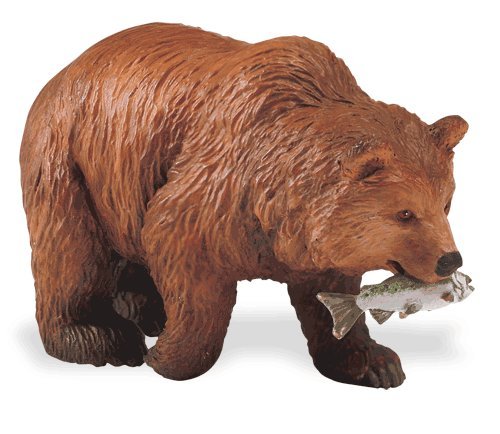 Safari: Grizzly Bear