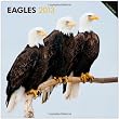 Eagles 2013 Square 12X12 Wall Calendar