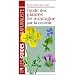 Guide des Plantes de Montagne par la Couleur