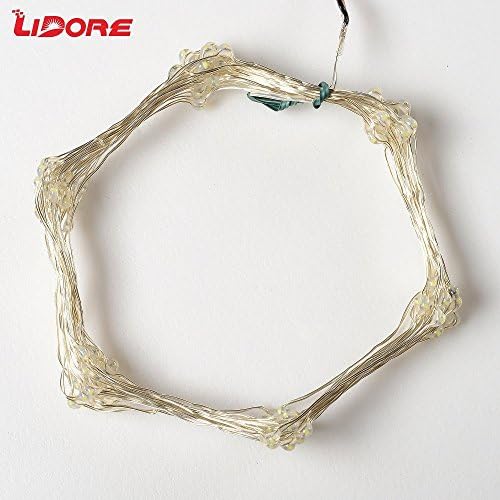 LIDORE Mirco 100 Warm White String Lights. 16 Ft ultra thin copper string.