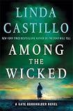 Among the Wicked: A Kate Burkholder Novel