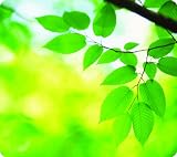 RECYCLED OPTICAL MOUSEPADLEAVES