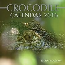 Crocodile Calendar 2016: 16 Month Calendar Crocodile Calendar 2016: 16 Month Calendar