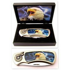 Taschenmesser, Sammlermesser, "AMERICAN EAGLE" in Geschenkbox - 18 cm