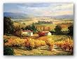 Hazy Tuscan Farm by S. Hinus 8"x10" Art Print Poster
