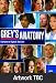 Grey's Anatomy - Season 8