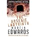 The Arsenic Labyrinth (Lake District Mystery)