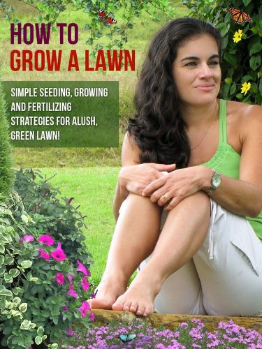 when to plant grass seed