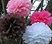Orino8482; Pom Poms - 5pcs 2 Sizes Tissue Paper Flowers, Tissue Paper Pom Poms, Wedding Decor, Party Decor, Pom Pom Flowers, Tissue Paper, Tissue Paper Flowers Kit, Pom Poms Craft, Wedding Pom Poms, Pom Poms Decoration (Blue&Light Blue)