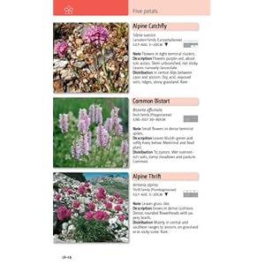 A Field Guide to the Flowers of the Alps