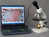 AmScope 40X-800X Compound Microscope + 1.3M USB Digital Camera