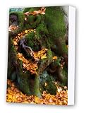 Friday street tree in Autumn canvas print artwork
