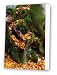 Kitchen & Housewares : Friday street tree in Autumn canvas print artwork