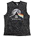 Pink Floyd Dark Side of the Moon Graphic Tank Top