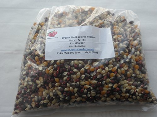 Popcorn Seeds, Kernels, USDA Certified Organic, Non-GMO, Multi-Colored, (Calico or Rainbow), 2 lbs (two pounds), (for eating not planting), ~BULK