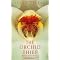 Orchid Obsessions