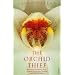 Best Books Later Made into Movies (no order)