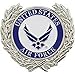 F-16 Fighting Falcon Pin 1
