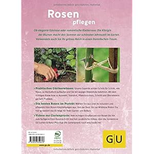 Rosen pflegen: Schritt für Schritt zum Rosenparadies (GU PraxisRatgeber Garten)