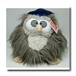 Look Whoooos Graduating ! Abacus Owl by Gund