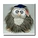 Look Whoooos Graduating ! Abacus Owl by Gund