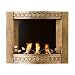 Southern Enterprises FA5808 Antique Gold Wall Mount Gel Fuel Fireplace
