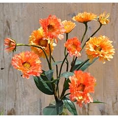 Margerite Seidenblume kupfer rot 34cm