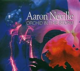 Aaron Neville Picture 12