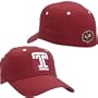 Temple Owls Fit Stretch Cap From Top Of The World