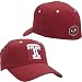 Temple Owls Fit Stretch Cap From Top Of The World