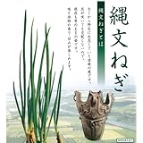 寅さんの縄文ネギ・ネット入り裸球10球入り 2袋セット[昔のままの姿の葱!]