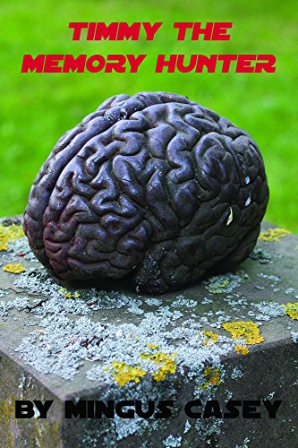 Timmy the Memory Hunter